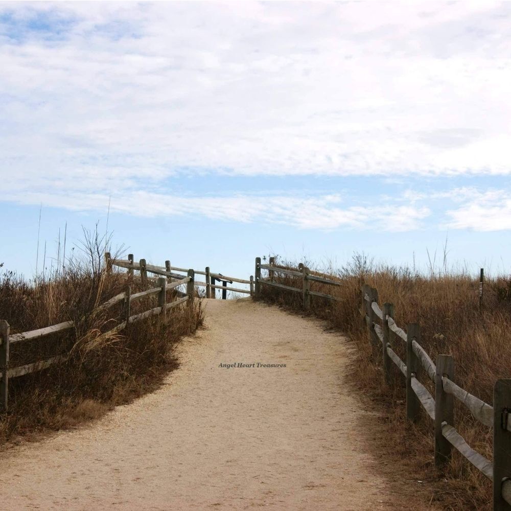 8x10 Original Photography Beckoning Beach Path